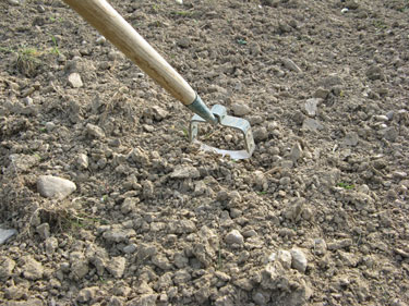 Le va-et-vient (genre de sarcloir) permet de casser la petite croûte dure de la surface de la terre.
L'eau de pluie est donc mieux absorbée.
Cet outil permet également d'ôter les mauvaises herbes en passant sous leurs racines.